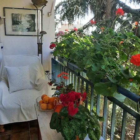 Holiday Or Congress, Centre - Beach Cannes Bagian luar foto
