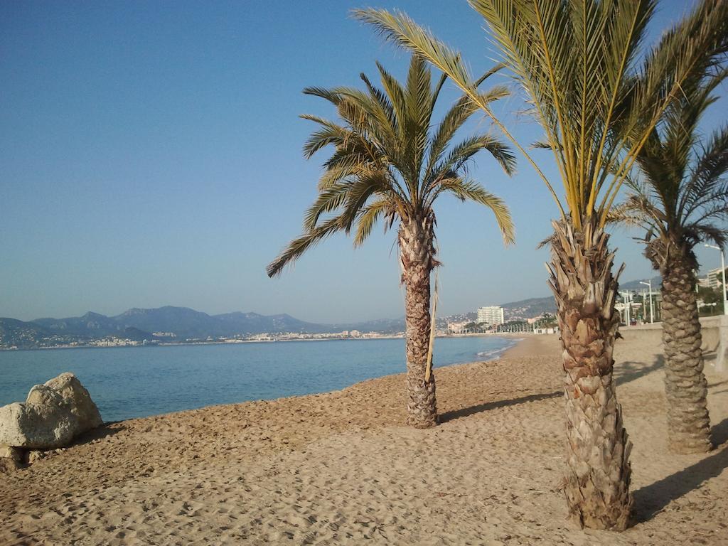 Holiday Or Congress, Centre - Beach Cannes Bagian luar foto
